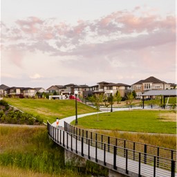 Central-Park-Spotlight