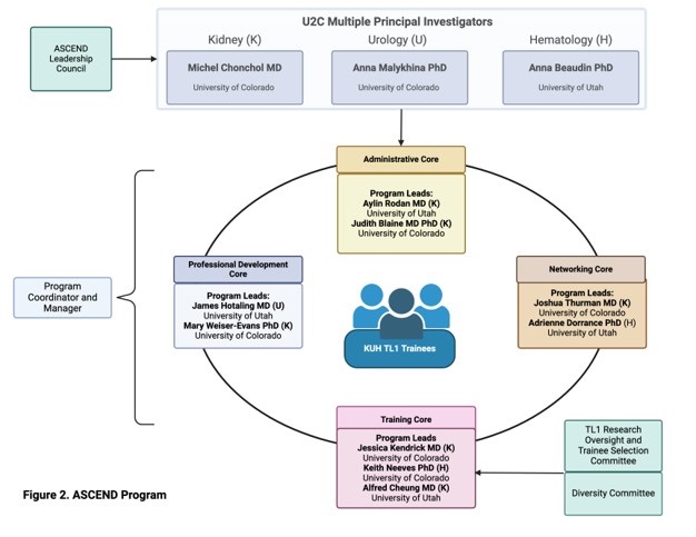 U2C and TL1 Organization Chart