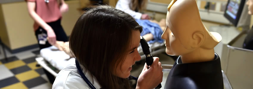 PA students practicing skills on simulation mannequins