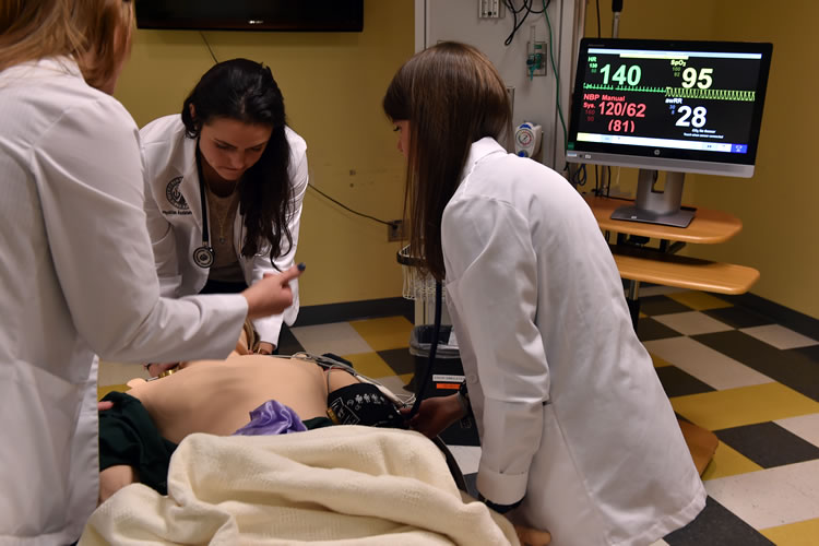 PA students monitoring a patient's vitals in a simulation