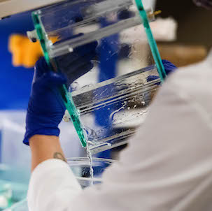 Scientist cleaning equipment in lab