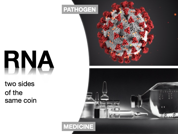 Two sides of the same coin