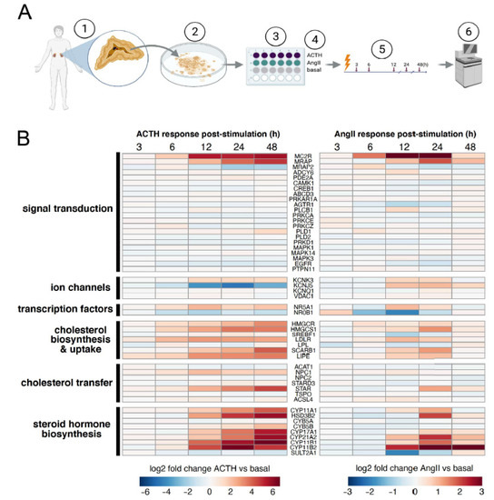 Mukherjee- September 2021