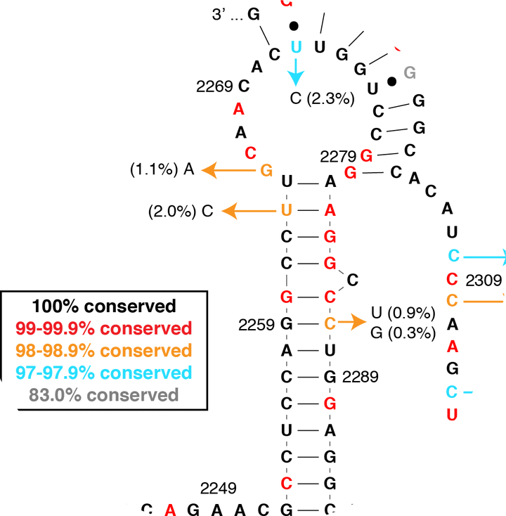 Research Highlights_012620
