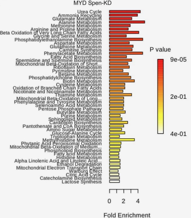 Research Highlights_040120