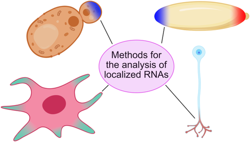 Research Highlights_050319