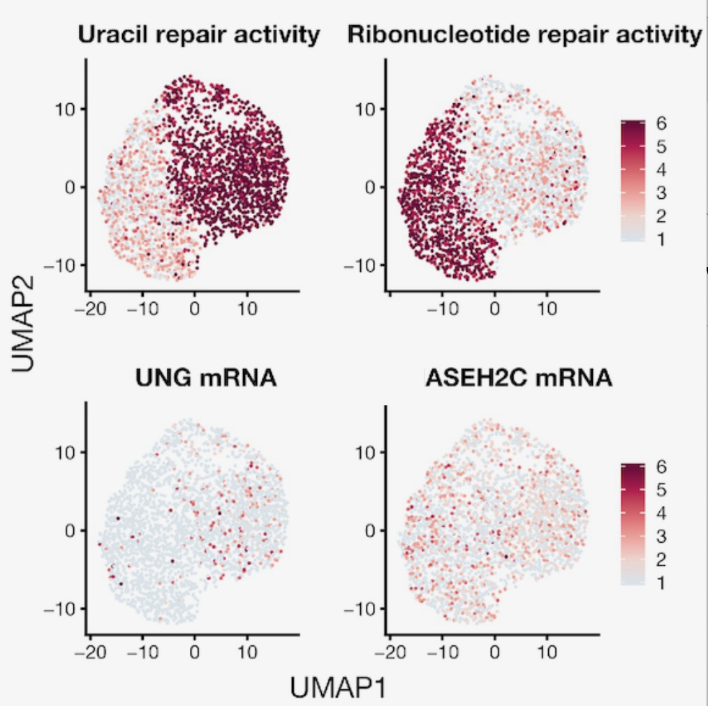 Research Highlights_060420