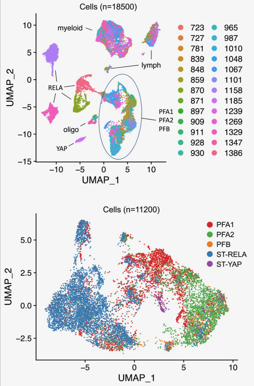 Research Highlights_081120