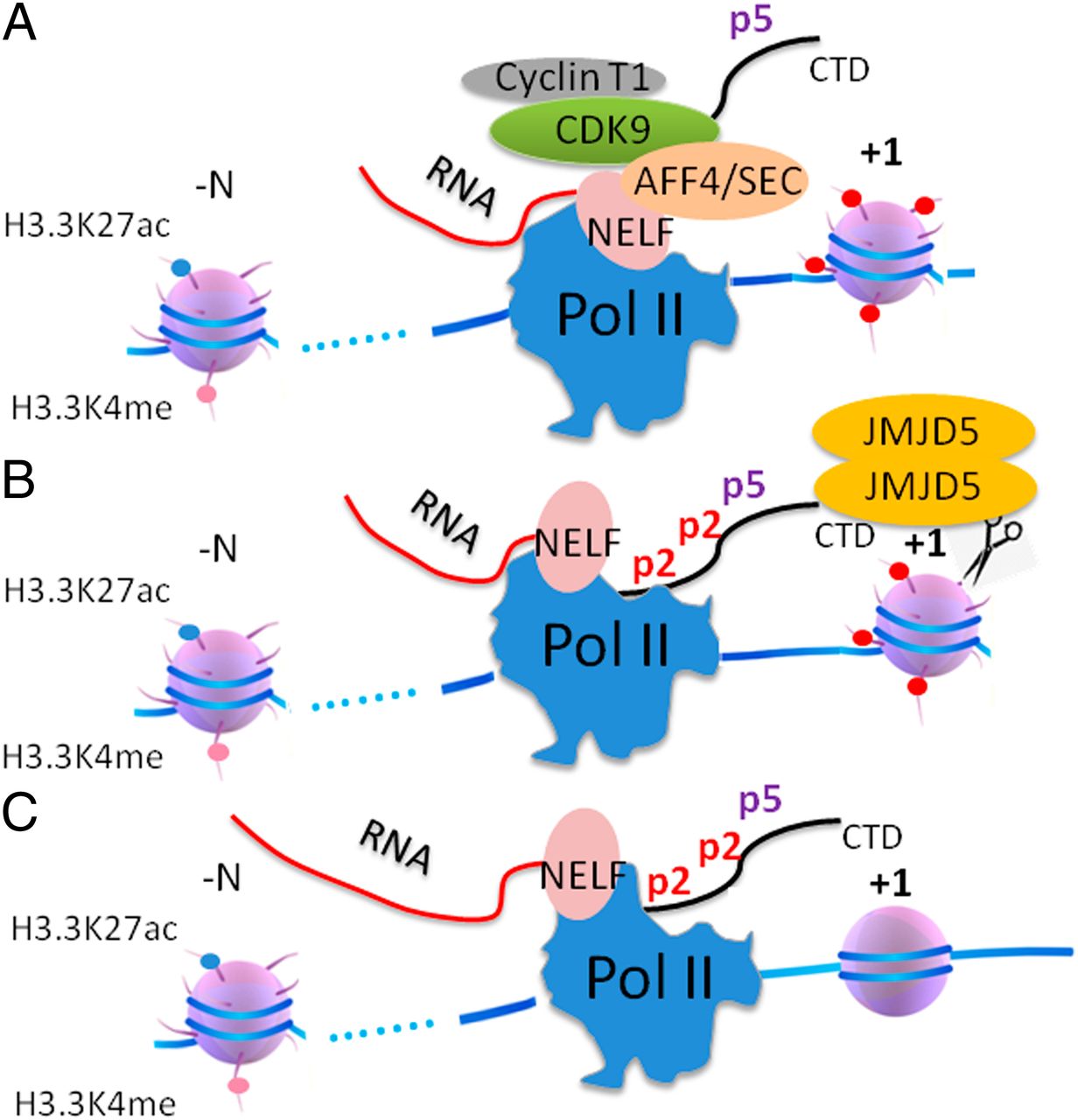 Research Highlights_081820