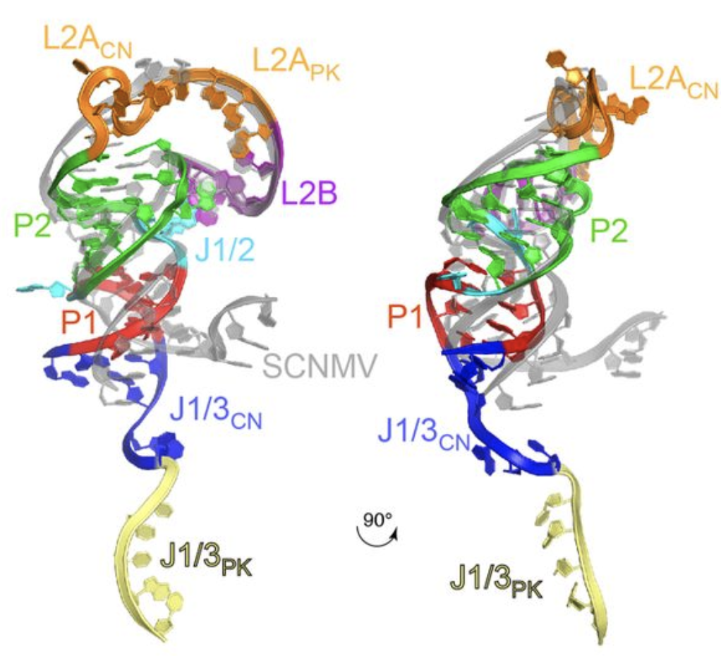 Research Highlights_082620
