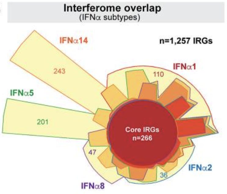 Research highlights_101620