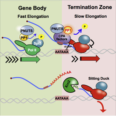 Research Highlights_110419