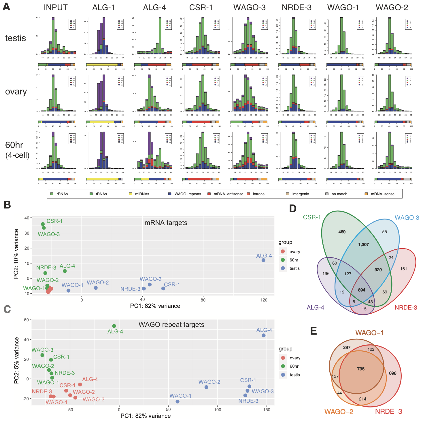 Davis- February 2022