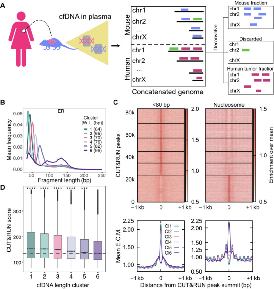 Ramachandran- August 2022