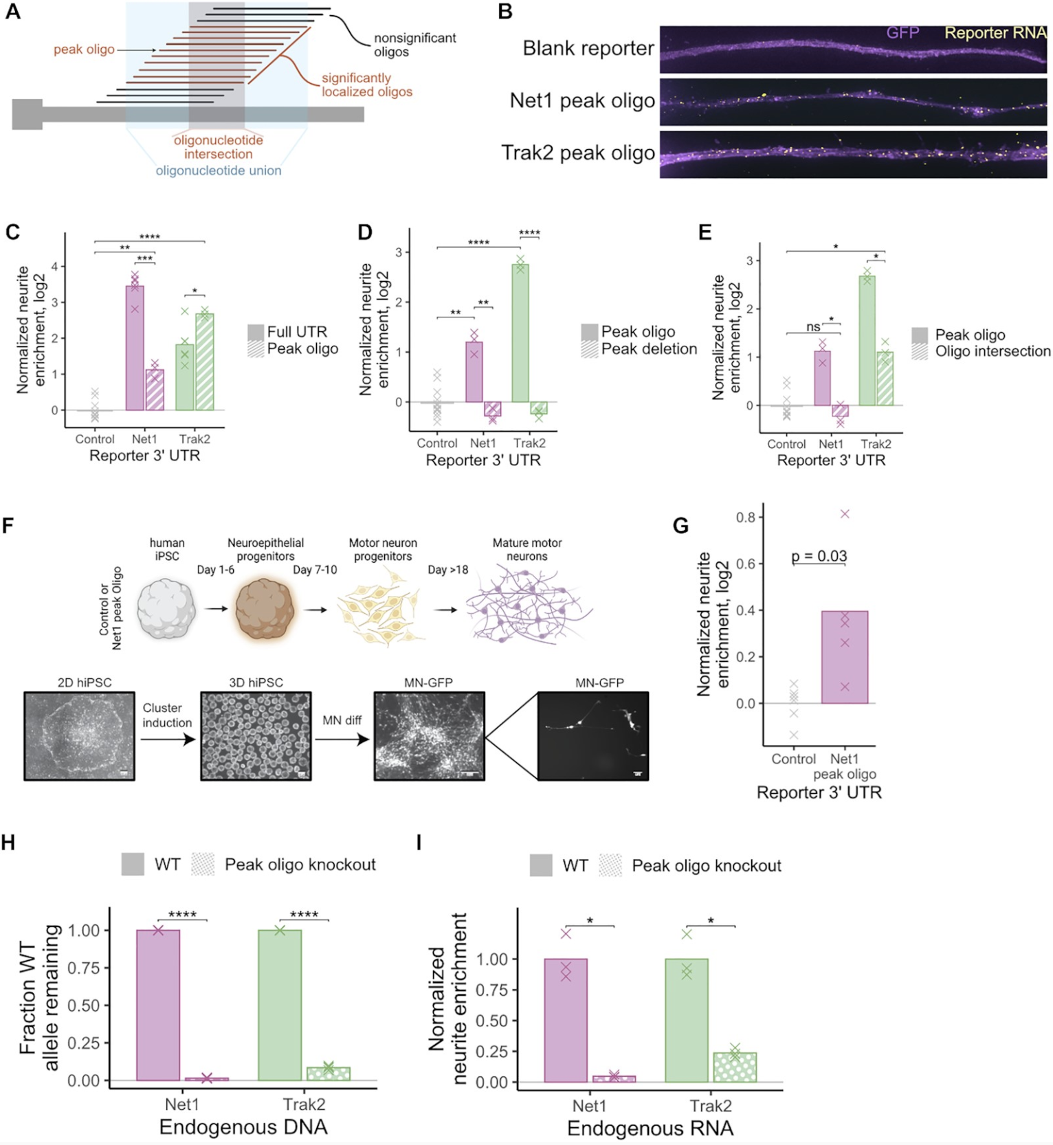 Taliaferro- Sept 2022