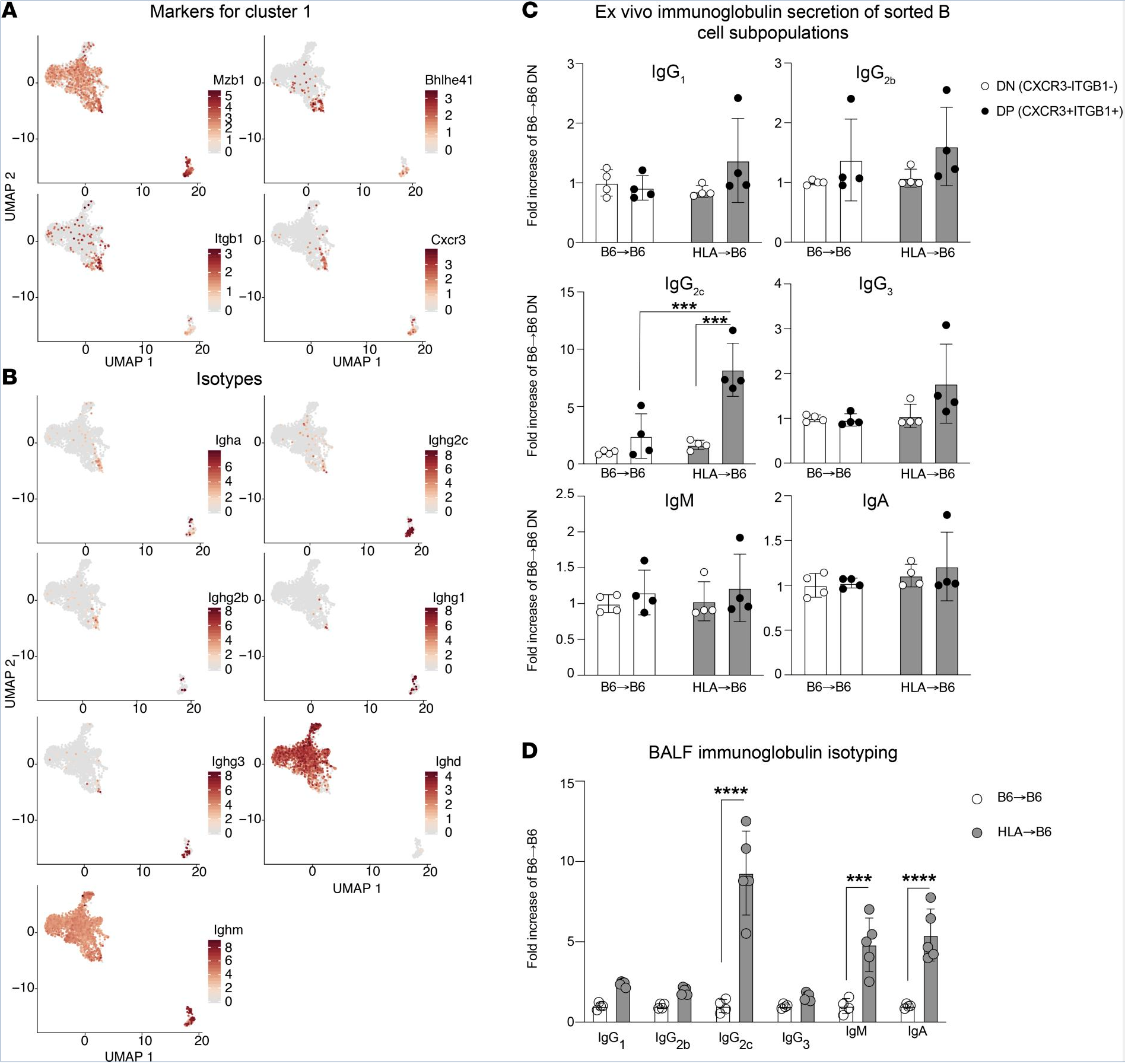 Eickleberg- Sept 2022