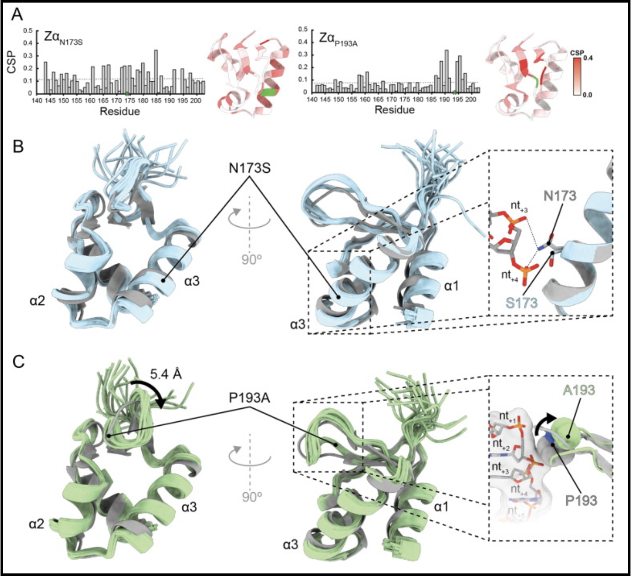 Screen Shot 2023-03-10 at 3.01.20 PM