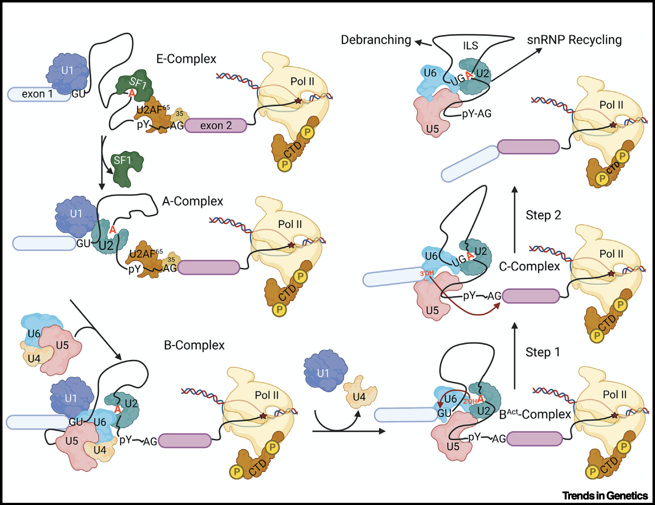 Screen Shot 2023-05-26 at 1.01.57 PM