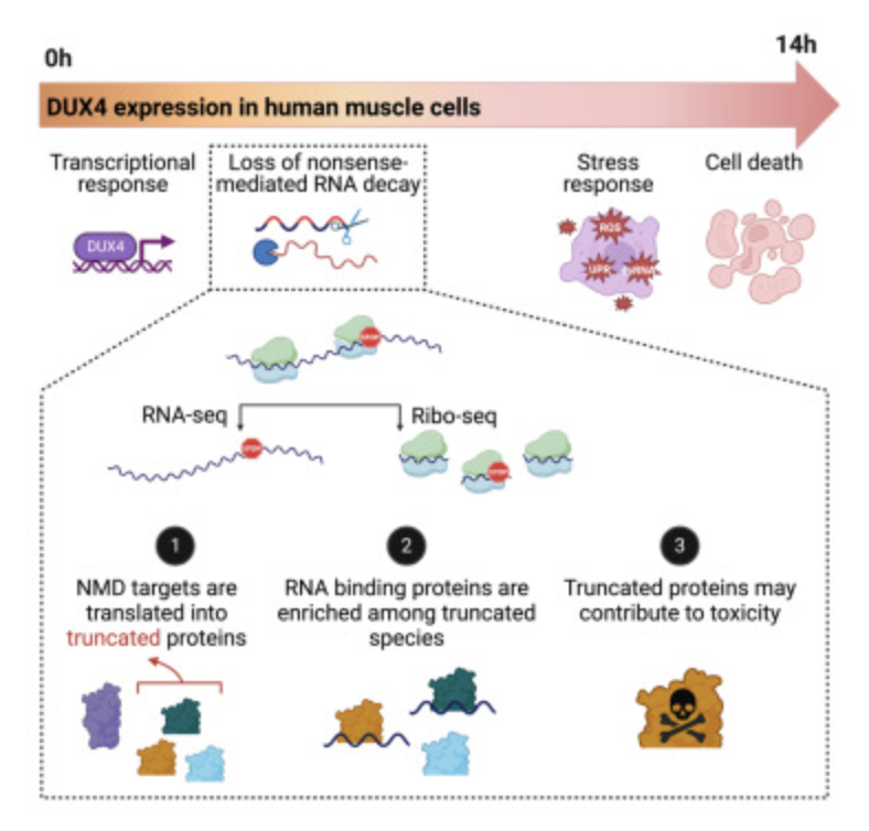 Jagannathan June 2023