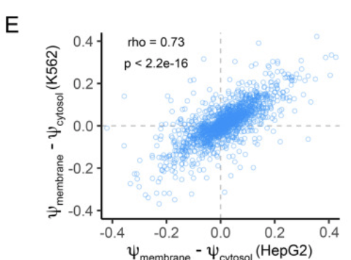 Taliaferro Highlight Jun 26