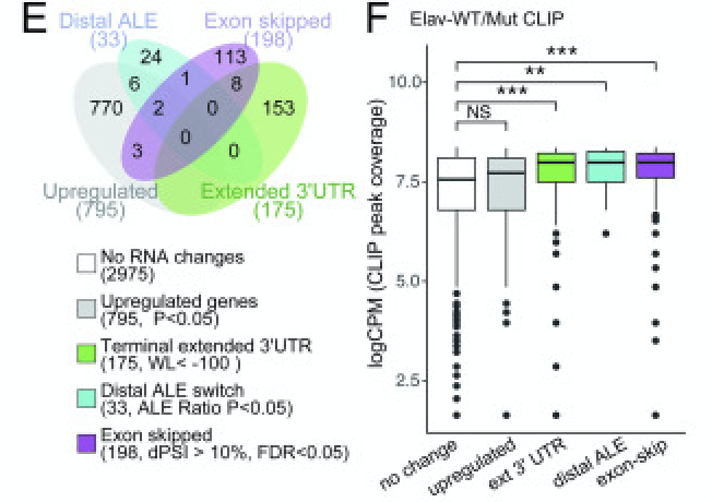 Taliaferro Highlight