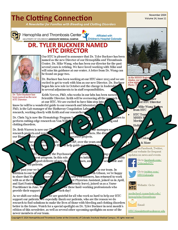 November 2024 Newsletter