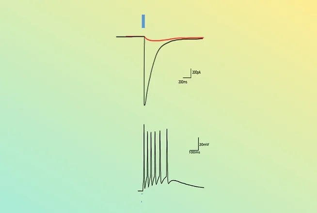 Optogenetics