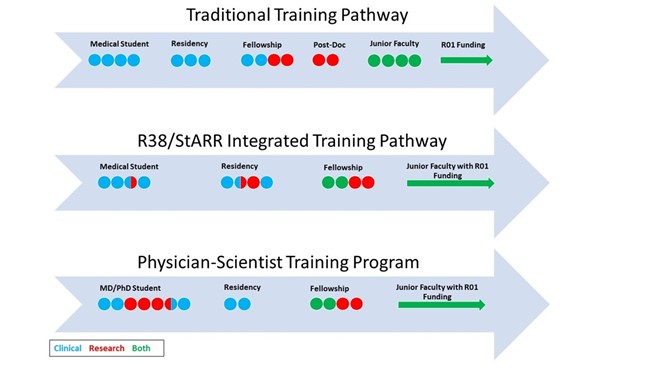 Diagram of training pathways