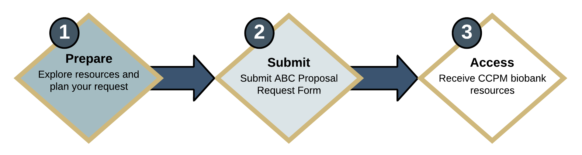 steps to access CCPM resources