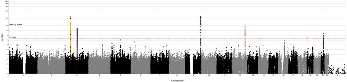 covid-genetic-analysis-2048x486