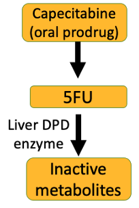 Screen Shot 2022-06-02 at 4.01.48 PM