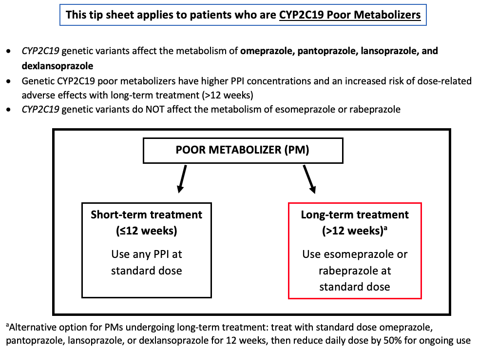 Screen Shot 2022-07-11 at 12.41.50 PM