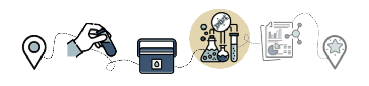 Map showing icons that represent the steps of sample collection. Step 3 is an icon of a test tubes performing an experiment.